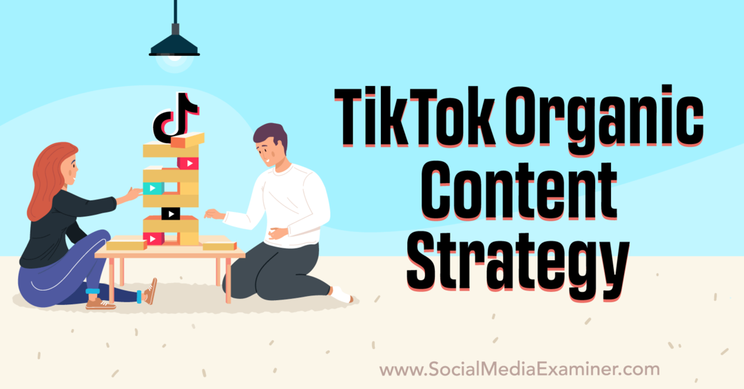 Estrategia de contenido orgánico de TikTok: examinador de redes sociales