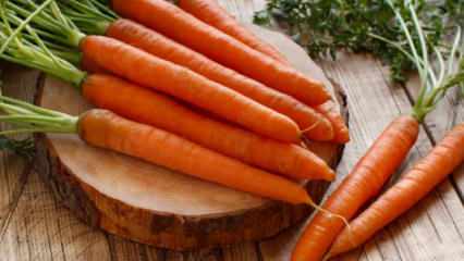 ¿Cómo cultivar zanahorias en macetas en casa? Métodos de cultivo de zanahorias en macetas