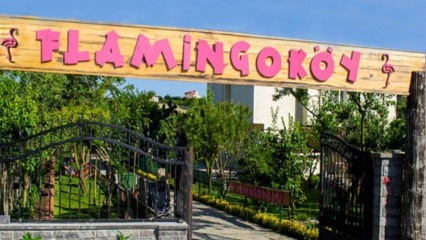 ¿Dónde está Flamingo Village? ¿Como ir? ¿Cuánto cuesta el desayuno?