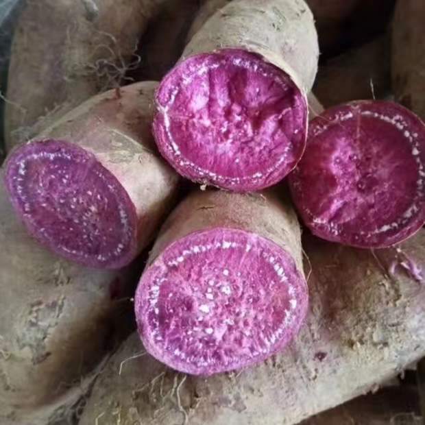 los beneficios de la batata (cultivada en china)