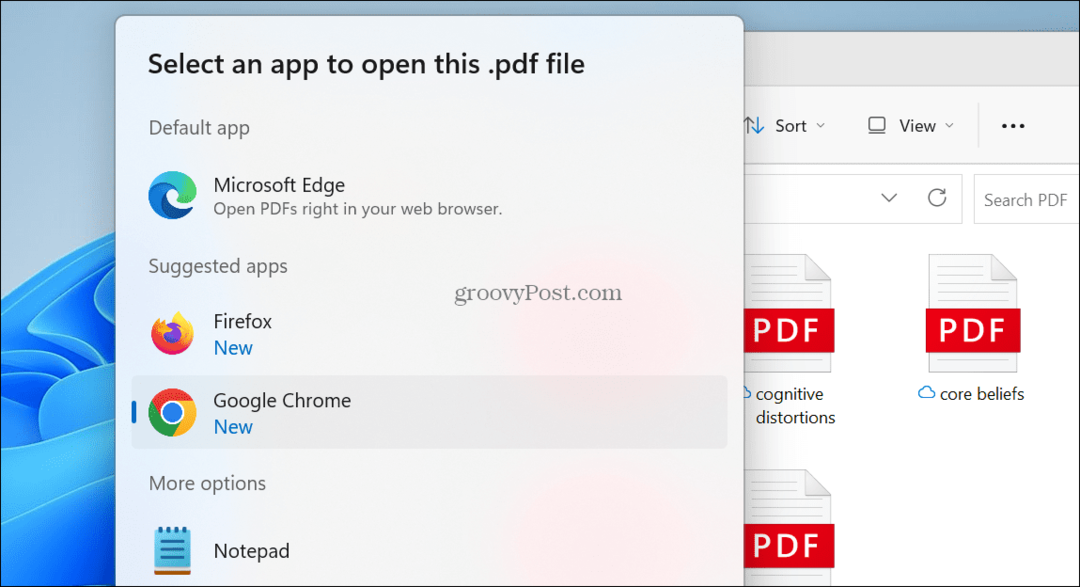 Visor de PDF predeterminado en Windows 11