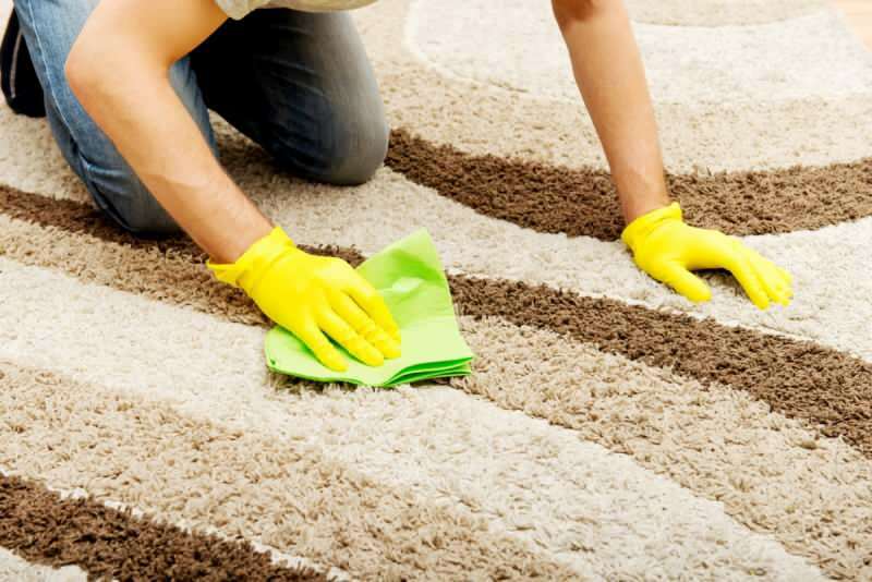 ¿Cómo eliminar la mancha de vómito en la alfombra? Método fácil para eliminar la mancha de vómito
