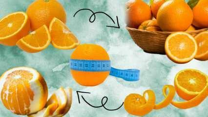 ¿Cuántas calorías tiene una naranja? ¿Cuántos gramos tiene 1 naranja mediana? ¿Comer naranja te hace subir de peso?