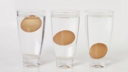 ¿Cómo entender los huevos rancios?