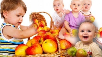 ¿Qué frutos se les debe dar a los bebés? Consumo y cantidad de fruta durante el período de alimentación complementaria