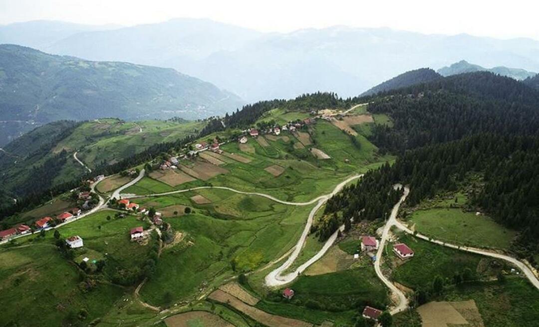 ¿Dónde está Meseta Çambaşı? ¿Cómo llegar a la meseta de Çambaşı?