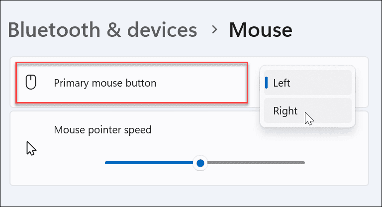Hacer que el mouse sea zurdo en Windows