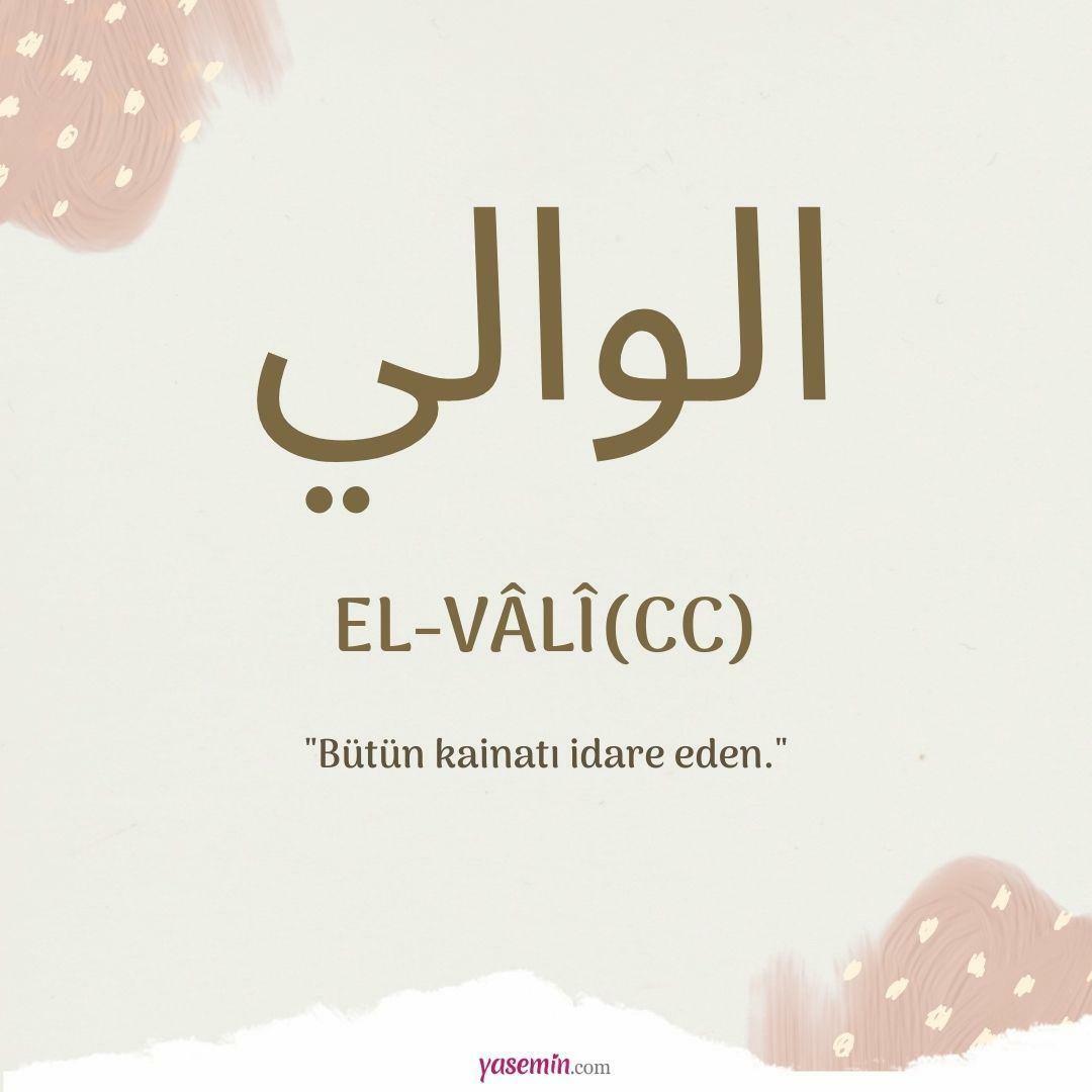 ¿Qué significa al-Vali (cc)?