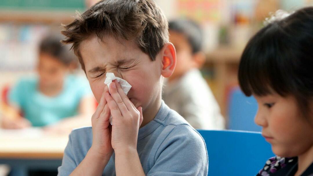 gripe estacional
