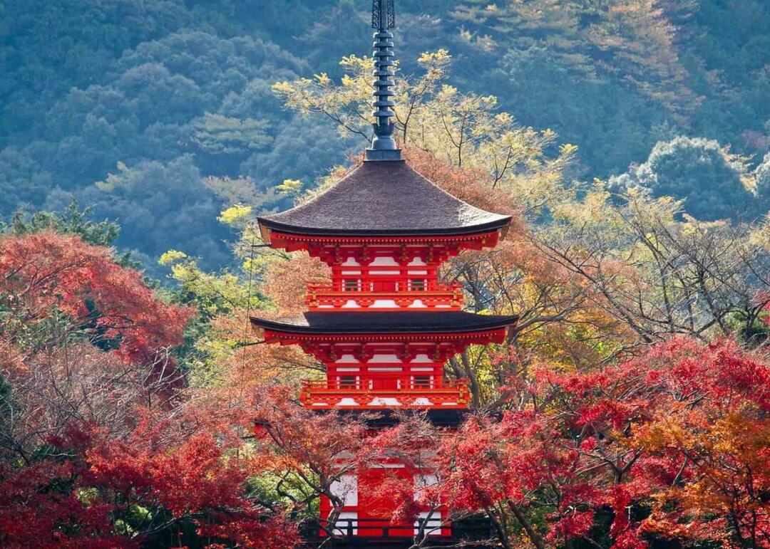 Horizonte de Kioto