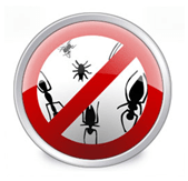 ¡Instale el antivirus para eliminar errores y códigos de virus desagradables!