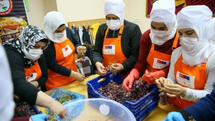 Las mujeres sirias aprenden a convertir las uvas en melaza en İzmir