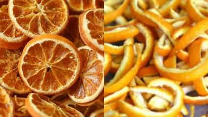 ¿Cómo se seca la naranja? Métodos de secado de verduras y frutas en casa.