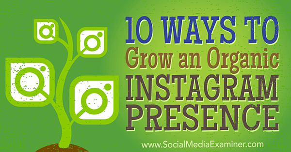 consejos de marketing orgánico para aumentar los seguidores de instagram