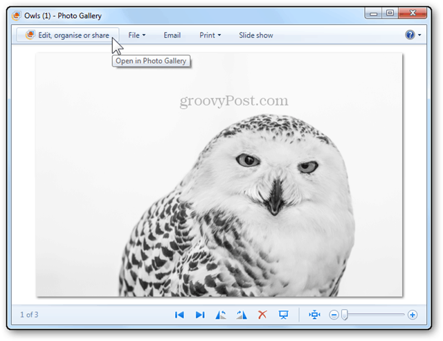 Cambiar el tamaño de varias fotos con Windows Live Photo Gallery