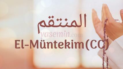 ¿Qué significa Al-Muntakim (c.c)? ¿Cuáles son las virtudes de Al-Muntakim (c.c)?