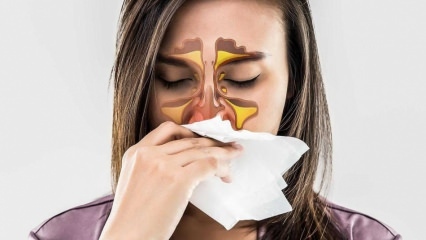 ¿Qué es una alergia? ¿Cuáles son los síntomas de la rinitis alérgica? ¿Cuántos tipos de alergias hay? 