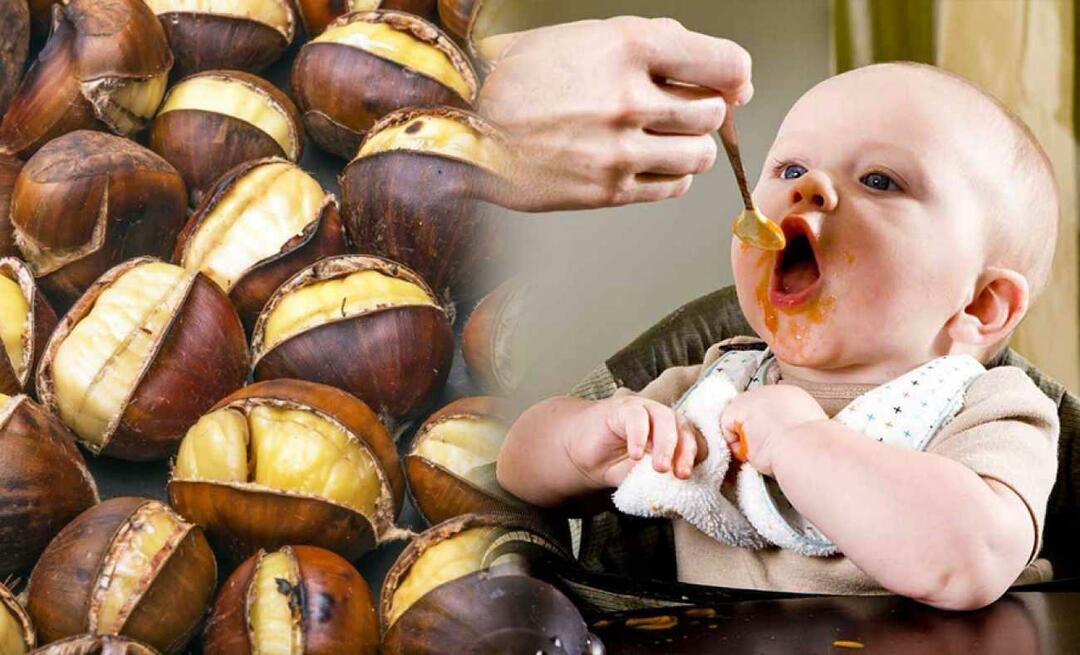 ¿Pueden los bebés comer castañas? ¿Cómo hacer budín de castañas?