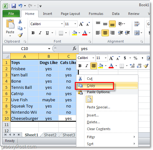 Copie una hoja de datos de Excel 2010 completa para la conversión del diseño
