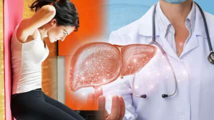 ¿El hígado graso produce barriga? Dieta grasa de hígado de Karatay para adelgazar