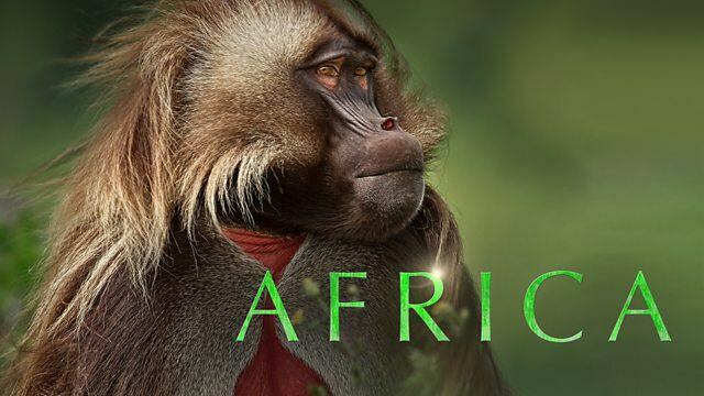 África / África (2013)