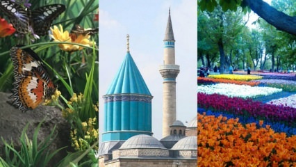 Guia de viaje en Konya
