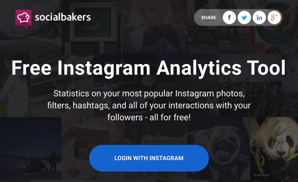 Inicie sesión con Instagram para obtener acceso al informe gratuito de Socialbakers.