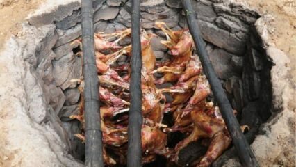 ¿Cómo cocinar carne de ganso? Receta deliciosa de tandoori de ganso