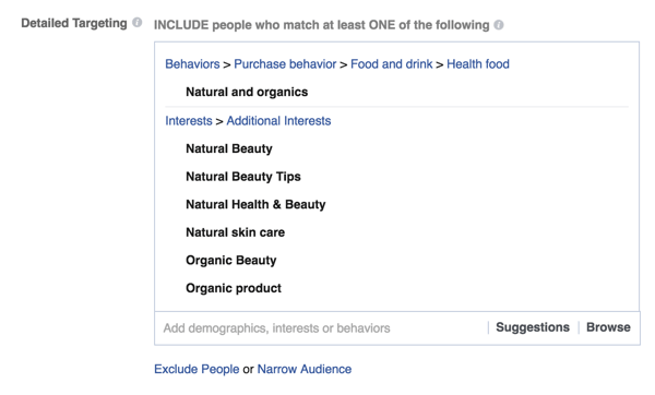 ejemplo de opciones de orientación detalladas de anuncios de Facebook