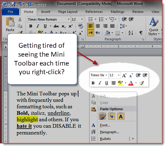 Eliminar Mini-Toolbar en Word 2007 y Word 2010