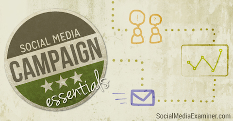 elementos esenciales de la campaña de redes sociales