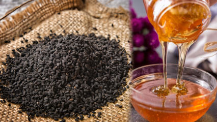 ¿Cuáles son los beneficios de Nigella? ¿Qué hace el aceite de semilla negra? Si mezclas comino negro con miel y te lo comes ...