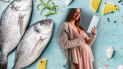 ¿Qué es la intoxicación por pescado? ¿Qué pescado se debe comer durante el embarazo? Pescado que contiene mercurio ...