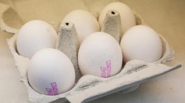 ¿Cómo se entiende el huevo orgánico? ¿Qué significan los códigos del huevo?