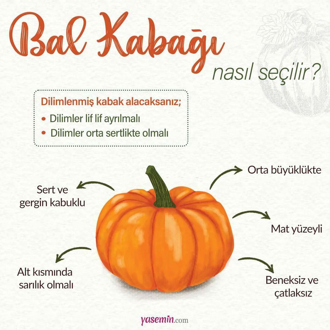 Cómo elegir una calabaza