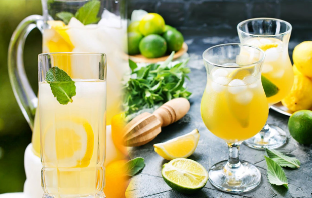 ¿Cómo hacer una dieta de limonada adelgazante? Diferentes recetas de limonada que te hacen perder peso rápidamente
