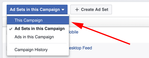 administrador de anuncios de facebook seleccione campaña