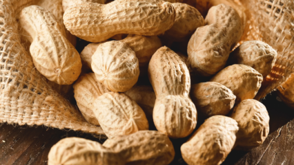 ¿Cuáles son los beneficios del maní? ¿Para qué enfermedades son buenos los cacahuetes?