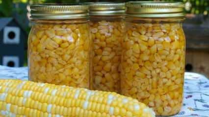 ¿Cómo se almacena el maíz? ¡Los métodos más fáciles de almacenar maíz! Preparación de maíz de invierno.