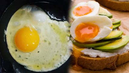 ¿Qué aceites son beneficiosos para nuestra salud? Si consumes el huevo poco cocido ...