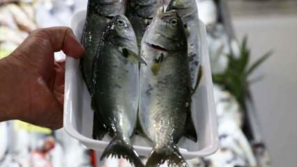 ¿Cómo limpiar el pescado azul? ¿Cuáles son los métodos para eliminar el pescado azul?