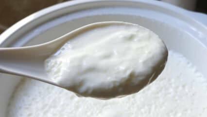 ¿Cuál es la forma más fácil de preparar yogur? ¡Haciendo yogur como una piedra en casa! El beneficio del yogur casero