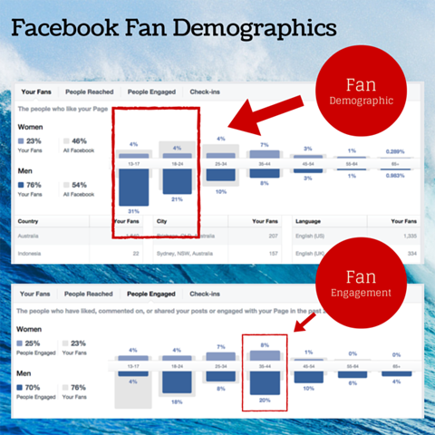 gráfico demográfico de fans de facebook