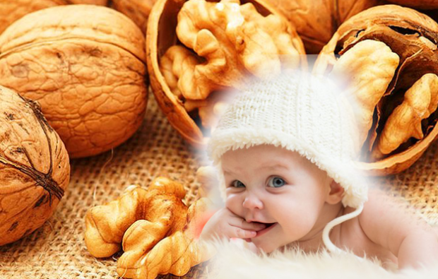 las nueces benefician a los bebés