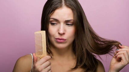 ¿Por qué se cae el cabello? 3 mezclas naturales que detienen la caída del cabello