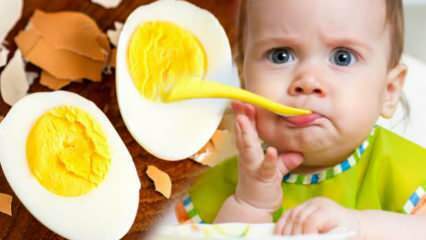 ¿Cómo deben administrarse las yemas de huevo a los bebés? ¿Cuántos meses para comenzar el huevo? Receta de huevo baby