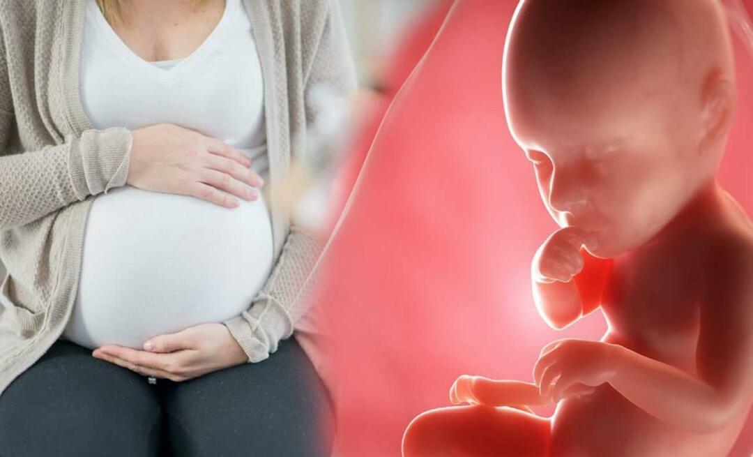 ¿Cómo obtienen los bebés los nutrientes de la madre durante el embarazo? Cómo alimentar al bebé en el útero de la madre.