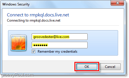 Vuelva a ingresar sus credenciales de cuenta de Windows Live