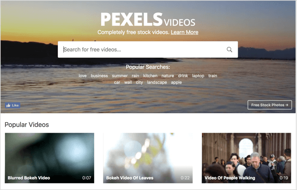 Pexels ofrece videos de archivo gratuitos que puede usar en sus anuncios de video de LinkedIn.