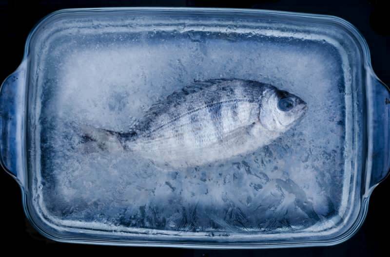 ¿Cambia el sabor del pescado arrojado al congelador? Los que guardan unos días ...